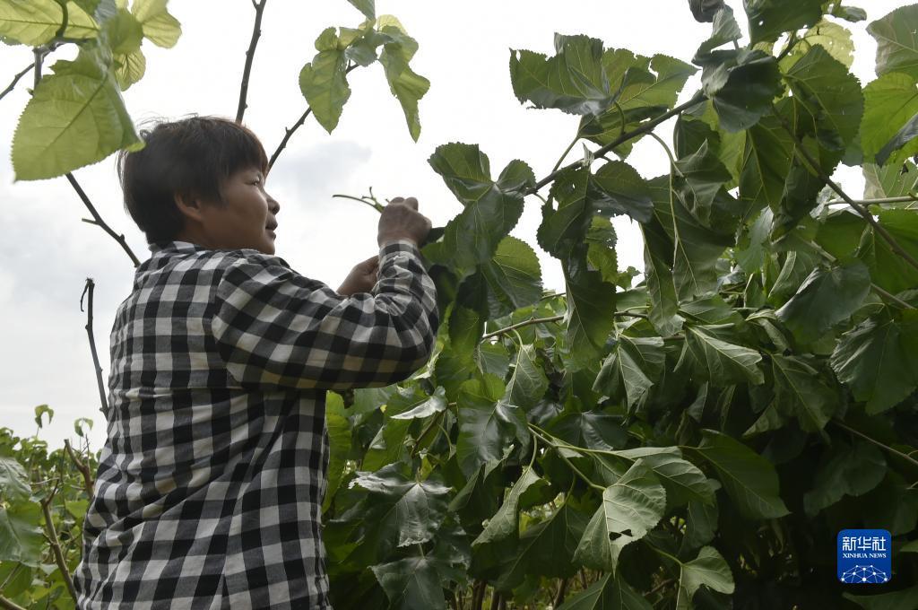 游戏中心正版下载